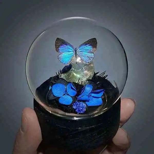 Light Up Real Butterfly Glass Dome with Preserved Flowers Eternal Rose and LED Glowing Base Handmade Night Light Decor Butterfly Aura