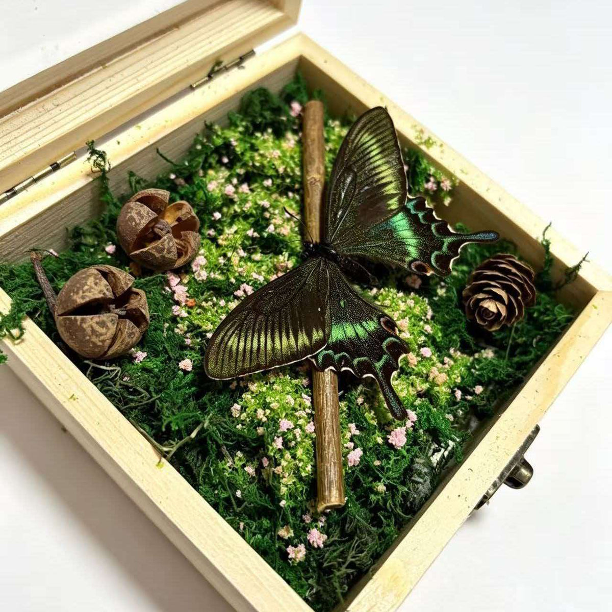DIY craft