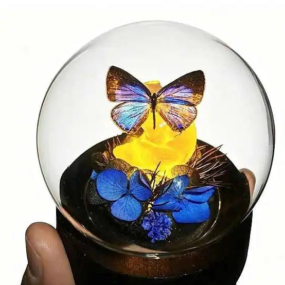 Light Up Real Butterfly Glass Dome with Preserved Flowers Eternal Rose and LED Glowing Base Handmade Night Light Decor Butterfly Aura