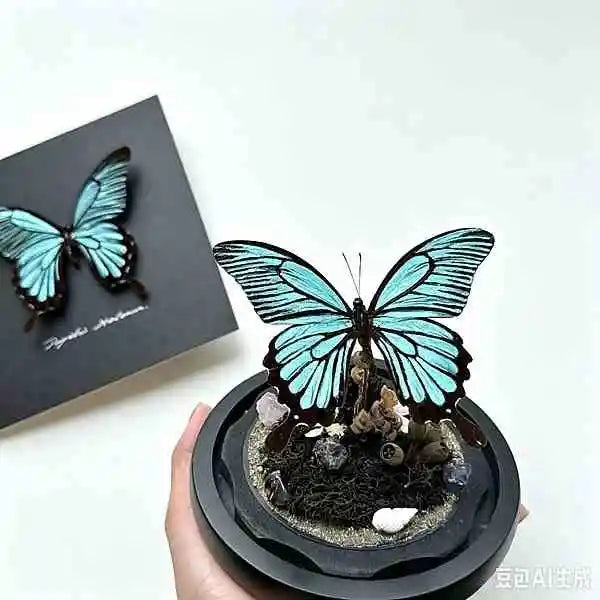 Rare Sky Blue Real Butterfly Glass Dome Display with Seashell Decor and Custom Wood Base Specimen Collectible Butterfly Aura