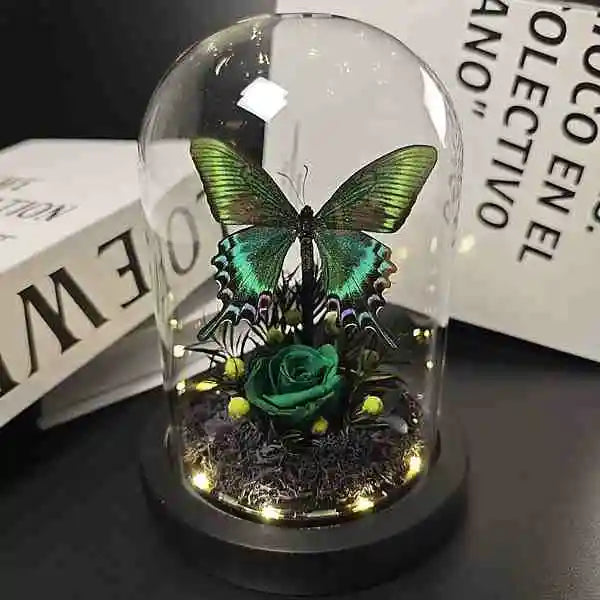 Real Black Butterfly Glass Dome with Preserved Flowers Dark Academia Home Decor Collector Gift from Butterfly Aura