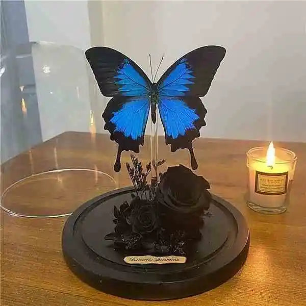 Real Butterfly Glass Dome Display with Preserved Black Rose and Foliage Handmade Nature Decor Collectible Butterfly Aura