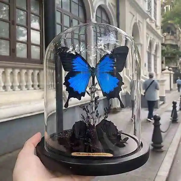 Real Butterfly Glass Dome Display with Preserved Black Rose and Foliage Handmade Nature Decor Collectible Butterfly Aura