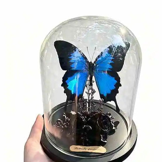Real Butterfly Glass Dome Display with Preserved Black Rose and Foliage Handmade Nature Decor Collectible Butterfly Aura